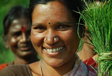 argajaa website canva pro images (2)